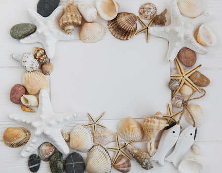 Holiday beach concept with shells, seastars and a blank postcard on a white wooden background