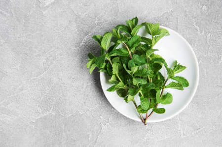 Plate with fresh mint on a old grey background