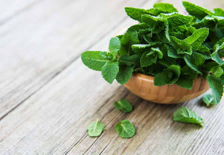 Bowl with fresh mint on a old wooden backgroundの写真素材
