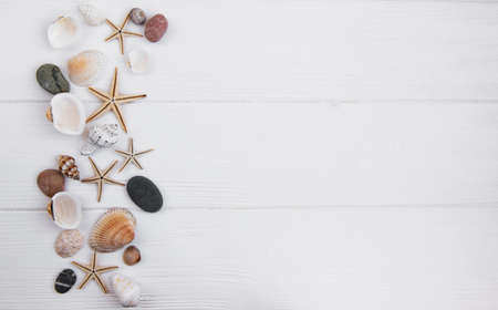 sea shells on a white wooden table as a holiday backgroundの写真素材