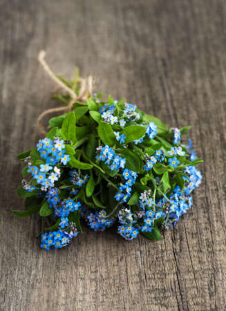 Forget me nots flowers on a old wooden tableの写真素材