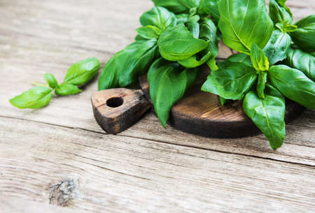 Fresh green basil herb on a old wooden backgroundの写真素材