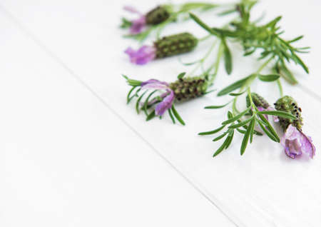 Spanish lavender on a white wooden backgroundの写真素材
