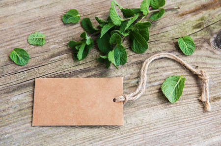 Green mint with old paper tag on a old wooden background