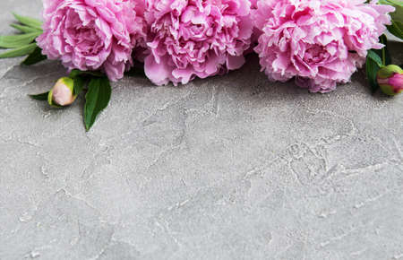 beautiful pink peony flowers on a stone backgroundの写真素材
