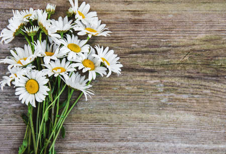 Chamomile flowers on a old wooden backgroundの写真素材