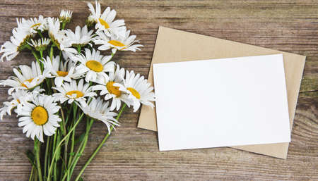 blank white greeting card and envelope with chamomile flowers on a wooden backgroundの写真素材