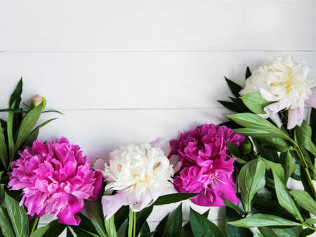 beautiful pink and white peony flowers on a white wooden backgroundの写真素材