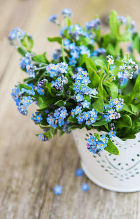 Forget-me-not flowers in small metal bucket on old tableの写真素材