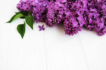 Lilac flowers on a white wooden backgroundの写真素材