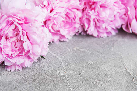 beautiful pink  peony flowers on a stone backgroundの写真素材