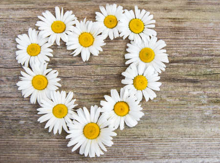 daisy flowers in heart shape on a old wooden backgroundの写真素材