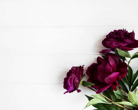 Pink peony flowers on a white wooden table