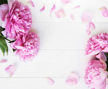Beautiful pink  peony flowers on a white wooden backgroundの写真素材