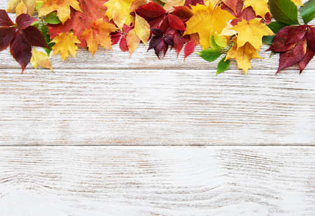 autumn leaves on a old wooden table
