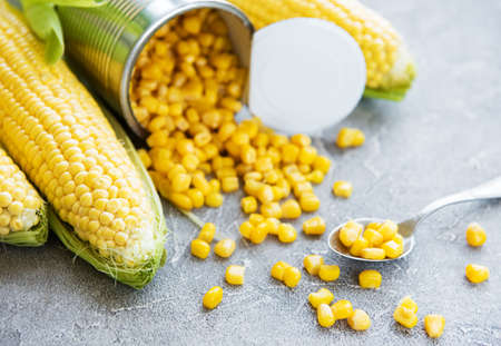 preserved sweetcorn and fresh raw corn on a concrete background