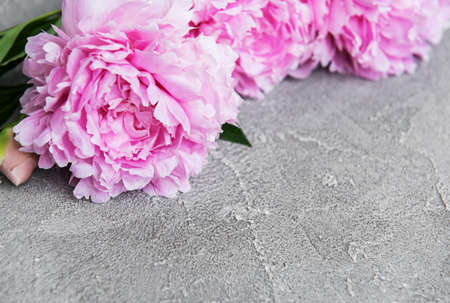 beautiful pink  peony flowers on a stone backgroundの写真素材