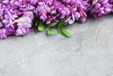 Pink acacia flowers on a stone backgroundの写真素材