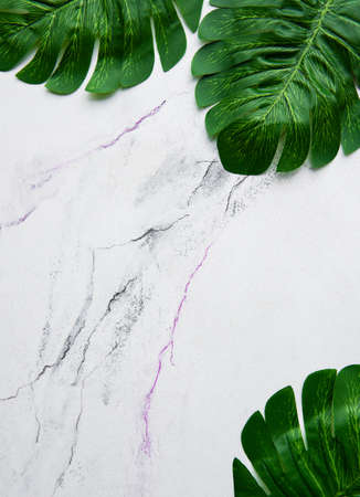 Monstera leaves on a marble background flat layの写真素材