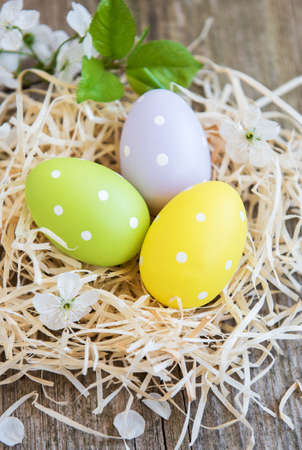 Nest with  easter eggs and spring blossom on a old wooden  background