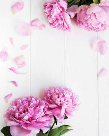 beautiful pink  peony flowers on a white wooden backgroundの写真素材