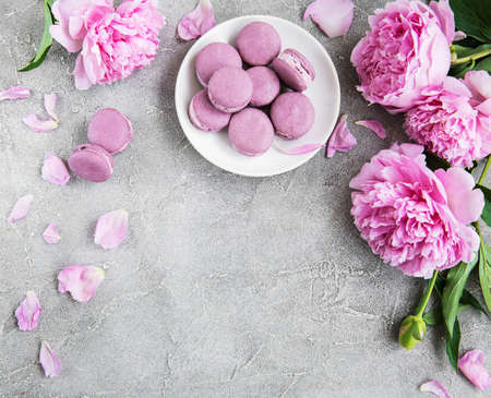 Pink peony with  macarons on a concrete backgroundの写真素材
