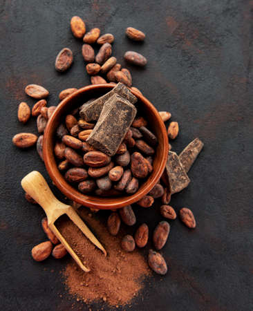 Natural  cocoa beans and cocoa powder  on a black  backgroundの写真素材