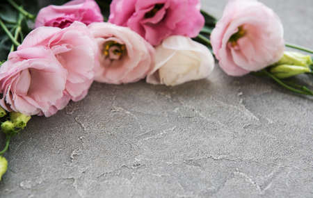 Fresh pink eustoma flowers frame on concrete backgroundの写真素材
