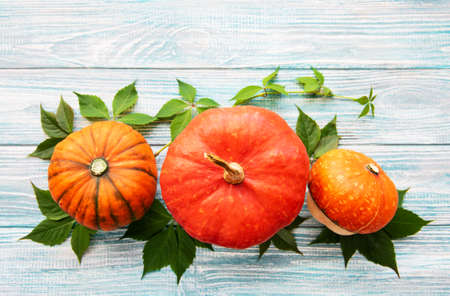 Autumn arrangement of pumpkins on a old wooden tableの写真素材