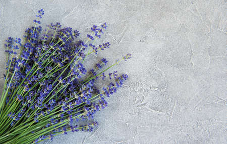 fresh lavender flowers on a concrete backgroundの写真素材