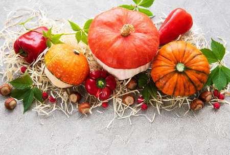 Colorful autumn pumpkins on a concrete backgroundの写真素材