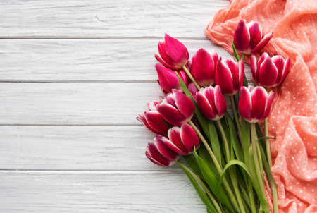 Pink spring tulips on a white wooden backgroundの写真素材