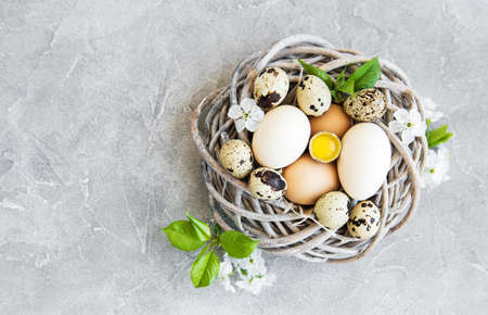 Nest with  easter eggs and spring blossom on a concrete background