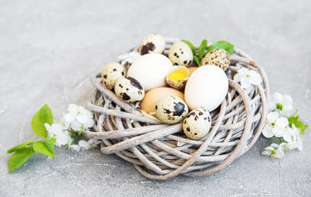 Nest with  easter eggs and spring blossom on a concrete background