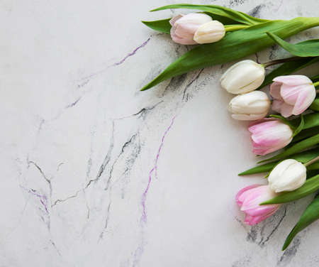 Pink spring tulips on a white marble backgroundの写真素材