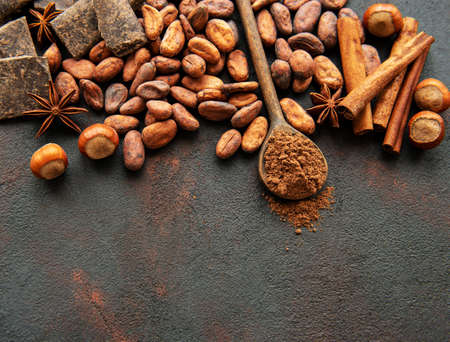 Natural  cocoa powder and cocoa beans  on a black  backgroundの写真素材