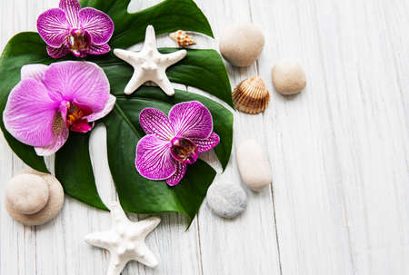 Natural spa ingredients with orchid flowers on a white wooden background