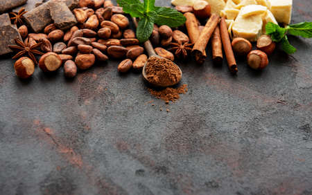Natural  cocoa powder and cocoa beans  on a black  backgroundの写真素材