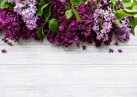 Lilac spring flower border on a white wooden background