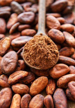 Spoon with Cocoa powder and beans as a natural backgroundの写真素材
