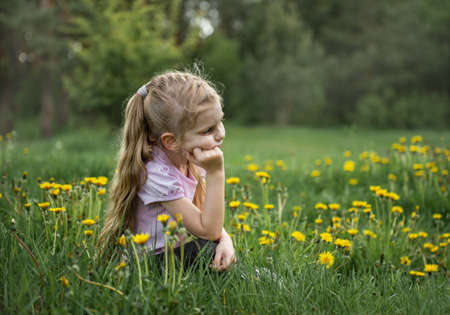 Little girl with dandelions on a fieldの写真素材
