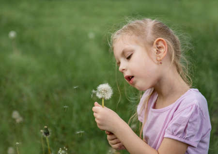 Little girl with dandelions on a fieldの写真素材