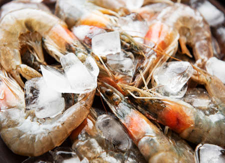 Fresh raw  prawns and spices on  black backgroundの写真素材