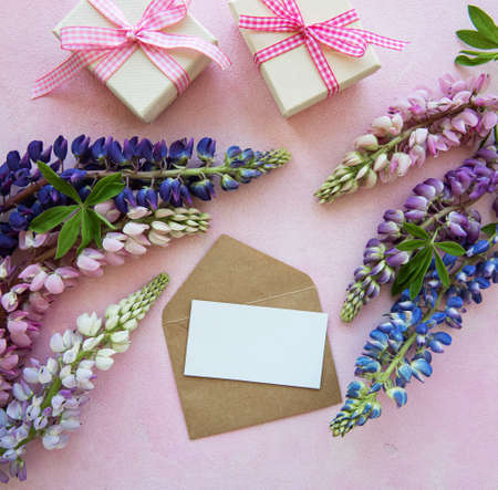 Mockup white greeting card and envelope with lupine flower on a pink concrete