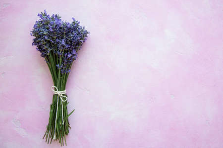 Fresh flowers of lavender bouquet on a pink concrete background