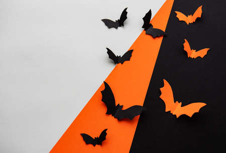 halloween  concept - black and orange paper bats flying over black and orange backgroundの写真素材