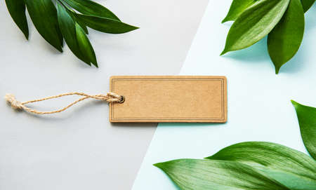 Tropical  leaves and tag  on light  pastelの写真素材