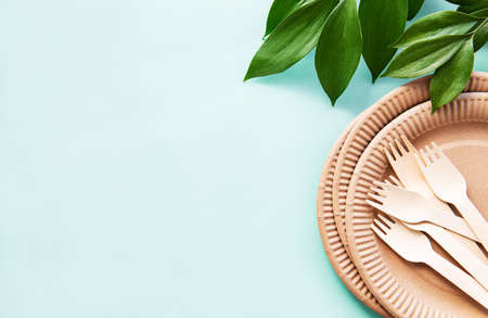 Zero waste, environmentally friendly,  disposable,  cardboard, paper tableware.