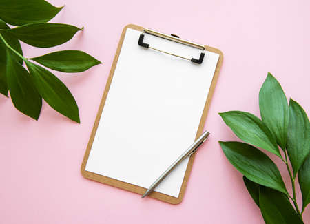 Mock up clipboard and green  leaves on whiteの写真素材