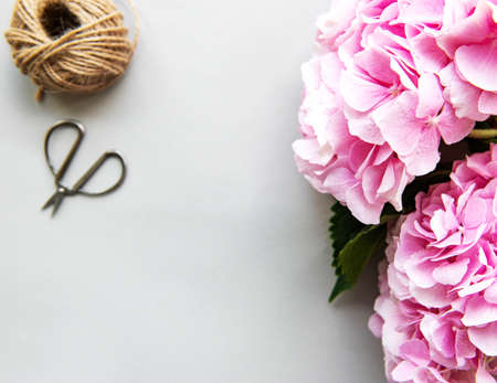 Pink flowers of hydrangea close-up. Natural hydrangea flowersの写真素材